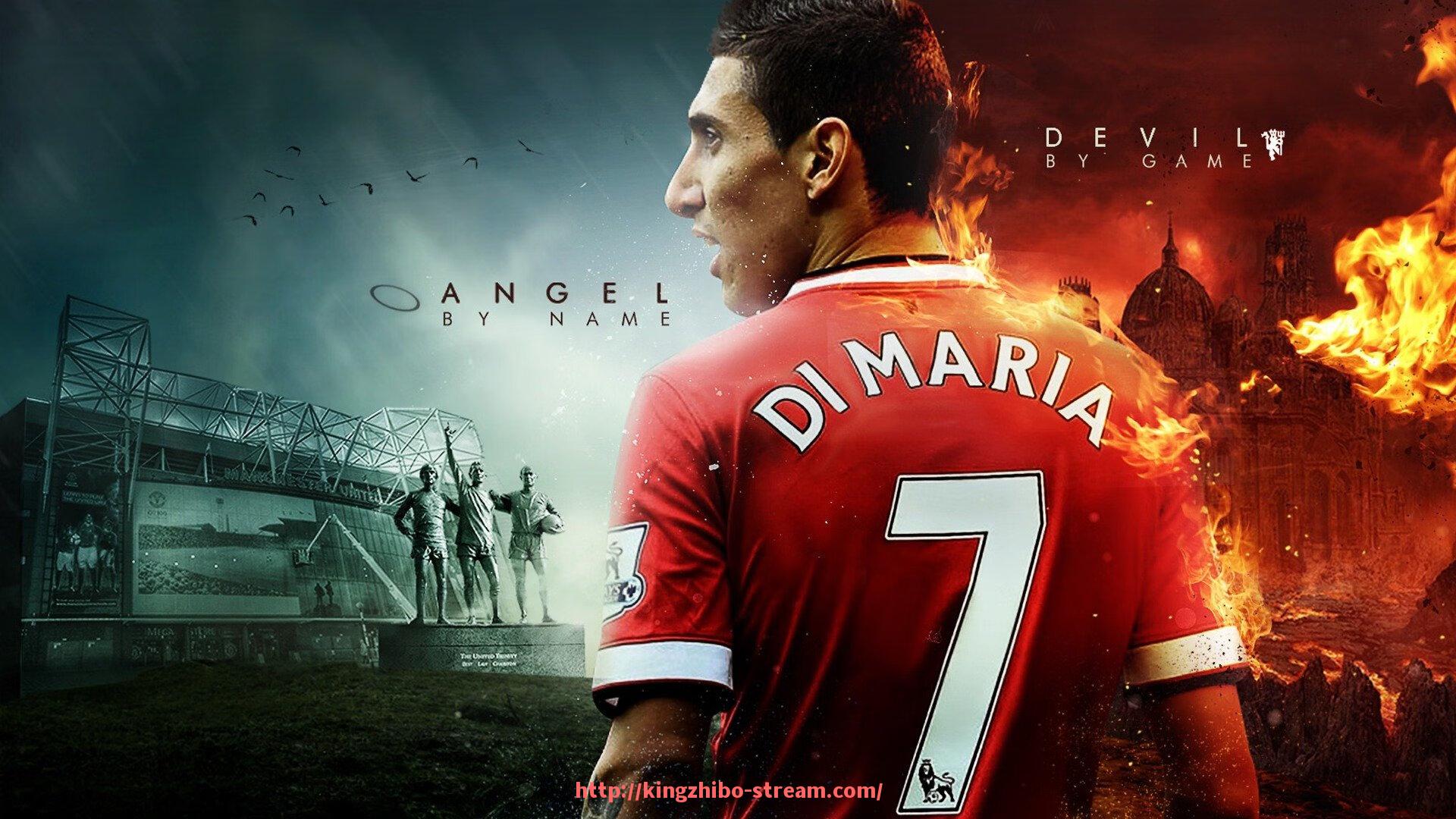 王者体育直播-塑身专用健身器材推荐及使用效果分析