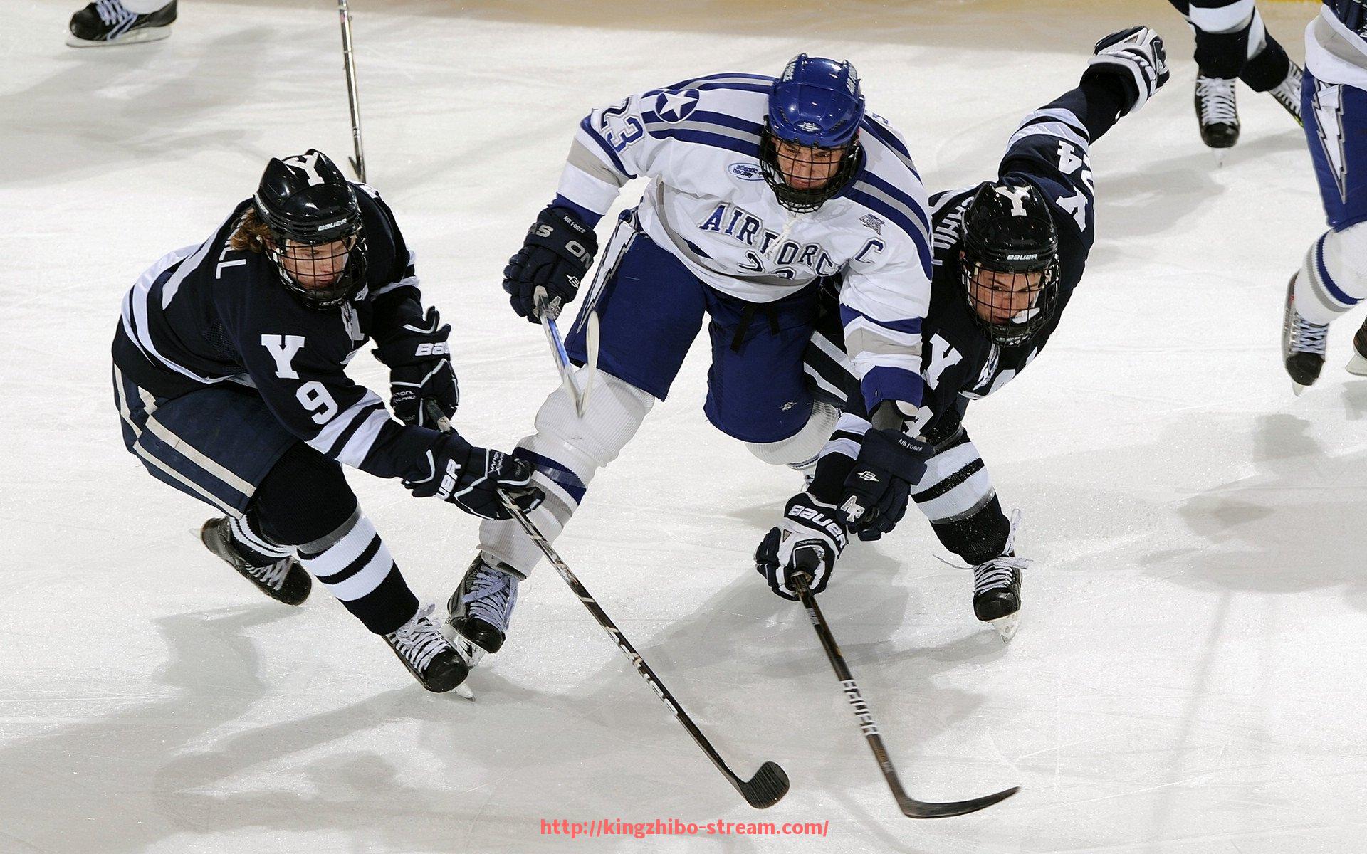 王者体育直播-椎间盘突出的康复健身器材推荐与锻炼指导